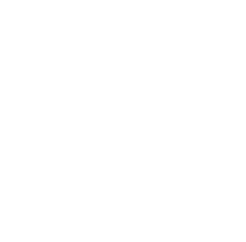 Xirosys Icon